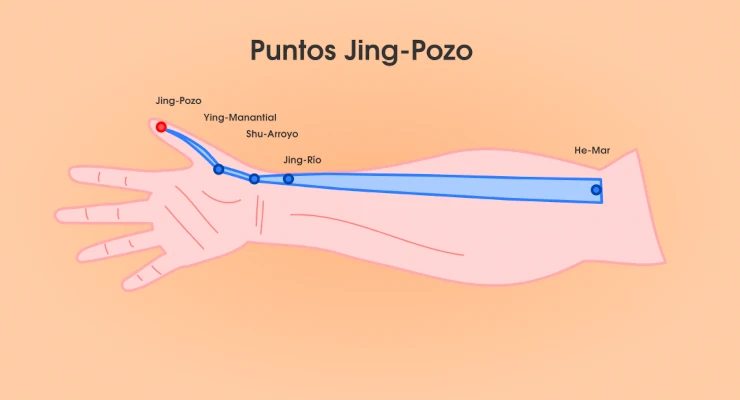 Puntos Jing Pozo