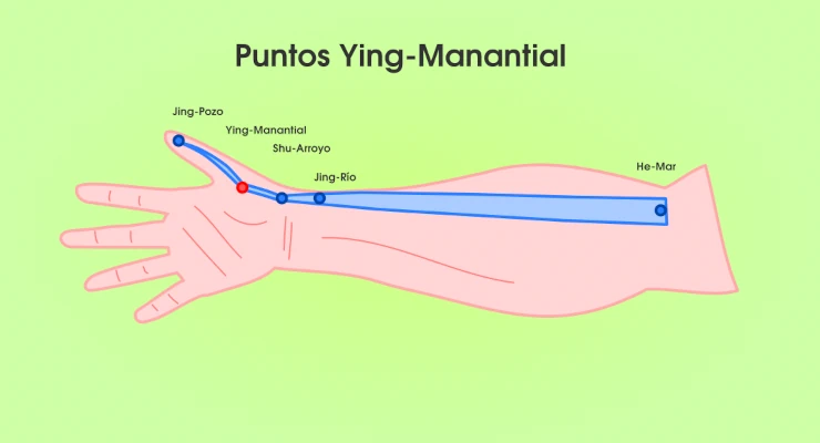 Puntos Ying Manantial