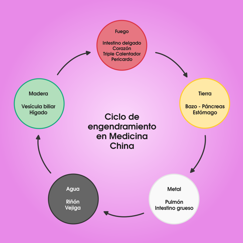 Póster del Ciclo de Engendramiento en MTC