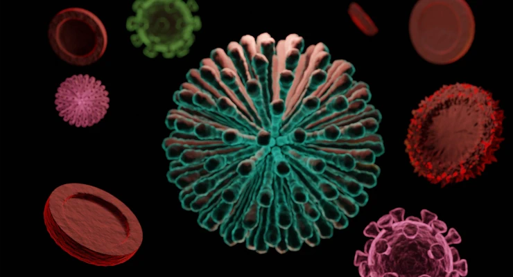 Globulos-rojos-sistema-inmune