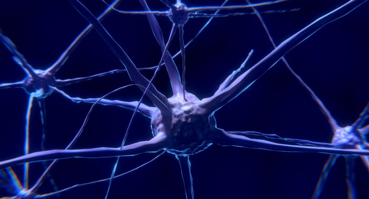 Neuronas
