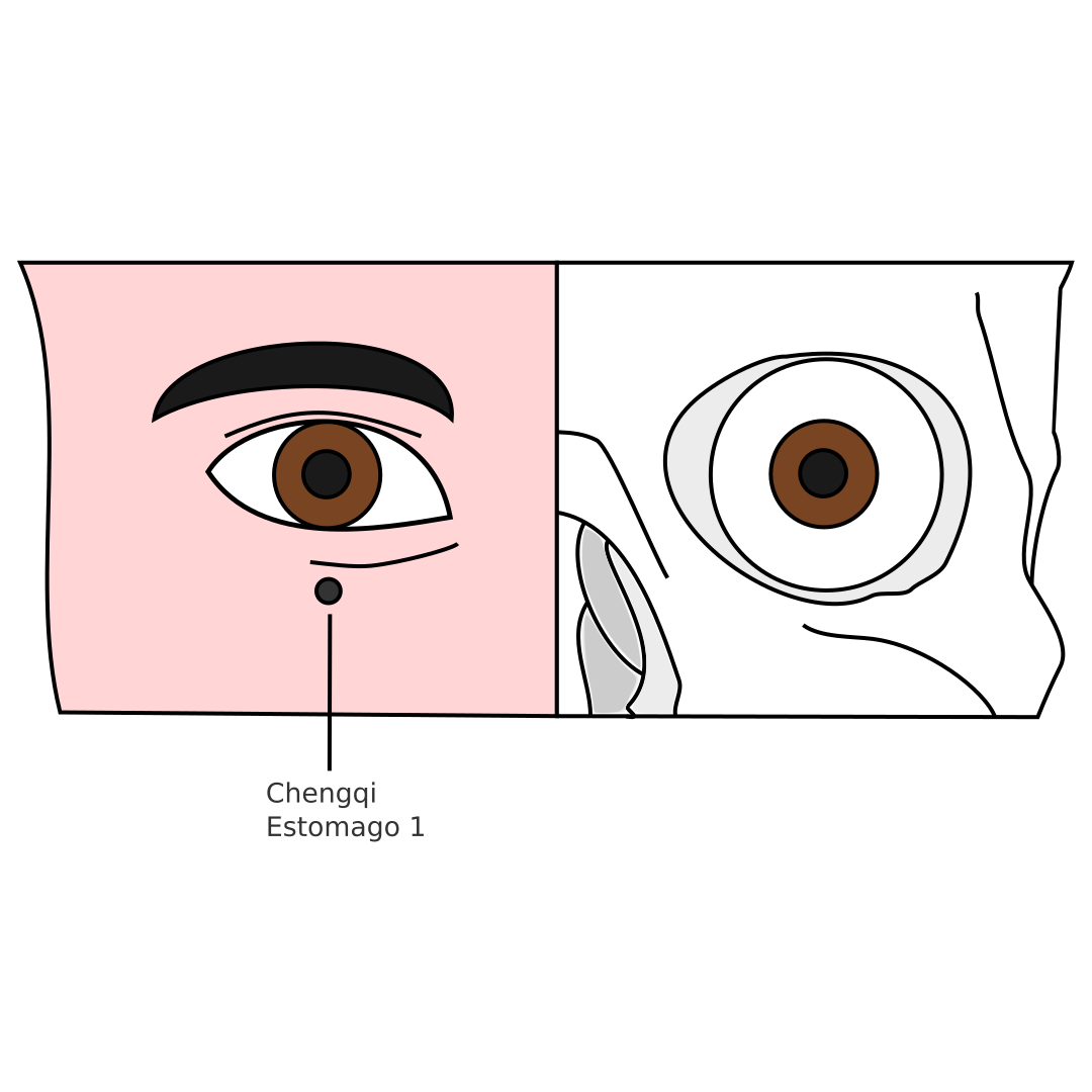 Ilustración del punto de acupuntura Chengqi Estomago 1